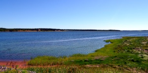 Tracadie Bay
